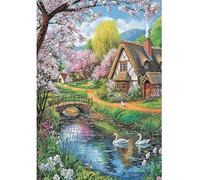DCIDBEI Peinture Diamant 5D Paysage de Jardin 40x50cm Diamond Painting 5D Paysage Anglais Peinture par Numéros Maison avec Jardin Toile Mosaïque Création Cygne Paysages et Nature Château
