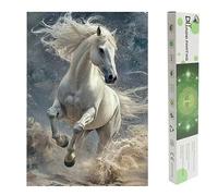 DCIDBEI Peinture Diamant Cheval Blanc 40x50cm DIY Peinture par Numéros Chevaux Saut Diamond Painting Chevaux Autocollants Cheval Blanc Kit Broderie Diamant Animaux Passion Courage Loyauté