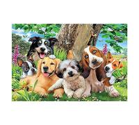 DCIDBEI Peinture diamant chien 40 x 50 cm Peinture diamant Images adultes chiens perles images chien teckel Diamond Painting Dog Yorkshire Chien Labrador Peinture par numéros Chien maltais