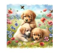 DCIDBEI Peinture Diamant Chien Labrador 40x40cm Peinture par Numéros Peinture Diamant Chien Chiot Ensemble de Broderie au Point de Croix Diamond Painting Chiens Artisanat Puzzle Diamond Chien