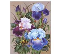 DCIDBEI Peinture Diamant Grande Fleurs Violettes 40x50cm Broderie Diamant Orchidee Adultes Diamant Painting Fleurs en Violet Canevas Diamant Kit Complet Fleurs Sagesse Respect Espoir Foi Tableau
