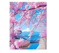 DCIDBEI Peinture Diamant Paysage Nature 40 x 50 cm - Rose et Cerise Japonaise Cicegi - Diamond Painting Fleur de Cerisier Japon