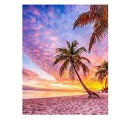 DCIDBEI Peinture Diamant Rose Plage et Mer Palmiers Eau Sable Coucher de Soleil 40 x 50 cm