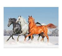 DCIDBEI Square Diamond Painting Chevaux Carrées 50x40cm Broderie Diamant Cheval Peinture Diamant Theme Chevaux Perle Diamant Adulte Broderie Diamant Paysage Mer Diamond Painting Mer et Plage
