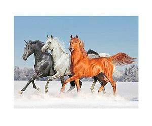 DCIDBEI Square Diamond Painting Chevaux Carrées 50x40cm Broderie Diamant Cheval Peinture Diamant Theme Chevaux Perle Diamant Adulte Broderie Diamant Paysage Mer Diamond Painting Mer et Plage