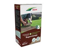 DCM Semences de Gazon Plus Récupération 1,2Kg - 80 m² - Semences de Gazon pour Réparation et Resemis avec Alimentation Bio de Démarrage - Récupération Rapide et Enracinement Fort