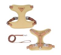 DCNIYT Ensemble harnais et laisse réglable anti-fugue avec sangle de poitrine, pour chihuahua, carlin, pour la promenade en plein air (doré, taille L, 10 à 14 kg)