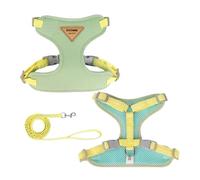 DCNIYT Ensemble harnais et laisse réglables anti-fugue avec sangle de poitrine pour chihuahua, carlin, pour la promenade en plein air (vert, taille S, 3,5 à 6,5 kg)