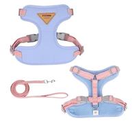 DCNIYT Ensemble harnais et laisse réglables anti-fugue avec sangle de poitrine pour chihuahua, carlin, pour la promenade en plein air (bleu, taille S, 3,5 à 6,5 kg)