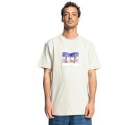 Dcshoes Homme Metallic Star T-Shirt, Pelican, L EU