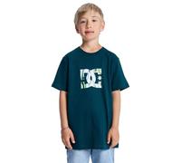 Dcshoes T-Shirt Manche Courtes DC Star Filled SS Boy Garçon Vert