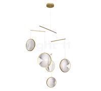 DCW - Focus 5 Suspension Or