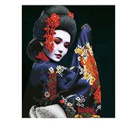 DD10-043 Diamond Dotz Kyoto Beauty Peinture diamant à faire soi-même 50 x 60 cm