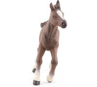 DDA-PAPO - 51076 - Figurine - Cheval - Poulain Anglo Arabe
