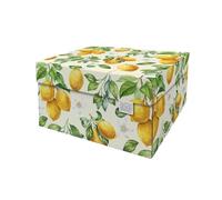 DDB Dutch Design Brand Boîte de Rangement Small avec Couvercle - 2 Boîtes de Rangement - Carton Recyclable Certifié FSC (Taille : 27,8 x 20,6 x 14 cm) - Imprimé : Citrons (Lemons)