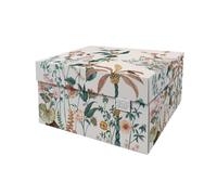 DDB Dutch Design Brand Boîtes de rangement décoratives avec couvercle - Dimensions : 38,9 x 31,8 x 21,1 cm - Carton recyclable certifié FSC (Motif : Libellule)