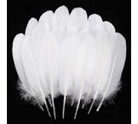 DDKY Plume,Plumes,Plume Blanche,Plumes Blanches,Plume Decoration,100 pièces, adaptées aux Costumes d'halloween, à la Fabrication Artisanale, aux Masques décoratifs, aux Attrape-rêves