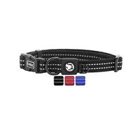 DDOXX Collier Chien Nylon, Réfléchissante, Réglable & Rembourrée Neopren | Nombreuses Couleurs & Tailles | pour Petit, Moyen Gros & Grand | Colliers Chat Chiot | Noir, S, arnet pour Chien