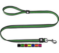 DDOXX Laisse Chien Air Mesh, Réfléchissante, Rembourrée, 120 cm | Nombreuses Couleurs & Tailles | pour Petit, Moyen Gros & Grand | Laisses Chat Chiot | Vert, S, Laisse Double pour 2 Chiens