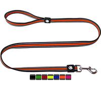 DDOXX Laisse Chien Air Mesh, Réfléchissante, Rembourrée, 120 cm | Nombreuses Couleurs & Tailles | pour Petit, Moyen Gros & Grand | Laisses Chat Chiot | Orange, M, Laisse Double pour 2 Chiens