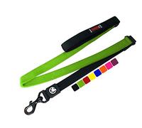 DDOXX Laisse Chien Nylon, Bungee, Rembourrée, 120 cm | Nombreuses Couleurs & Tailles | pour Petit, Moyen Gros & Grand | Laisses Chat Chiot | Vert, 1,20 m