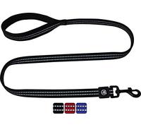 DDOXX Laisse Chien Nylon, Réfléchissante, Rembourrée, 120 cm | Nombreuses Couleurs & Tailles | pour Petit, Moyen Gros & Grand | Laisses Chat Chiot | Noir, L
