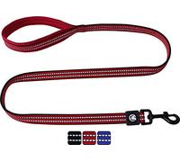 DDOXX Laisse Chien Nylon, Réfléchissante, Rembourrée, 120 cm | Nombreuses Couleurs & Tailles | pour Petit, Moyen Gros & Grand | Laisses Chat Chiot | Rouge, L
