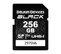 DDSDBLK256GB