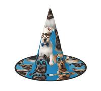 DDSFvbv Pointeur allemand à poils courts dans des lunettes - Chapeau de sorcière - Accessoire de cosplay - Décoration de vacances - Taille unique