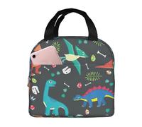 DDSFvbv Sac à déjeuner isotherme motif dinosaure, réutilisable, portable, parfait pour le travail, le pique-nique, la plage, le barbecue