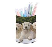 DDTKLSNV Golden Retriever Puppies Pot à crayons en polyuréthane étanche pour stylos et pinceaux de maquillage Accessoires de bureau