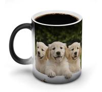 DDTKLSNV Golden Retriever Puppies Tasse à café en céramique 325 ml sensible à la chaleur Tasse à café magique à changement de couleur pour homme et femme