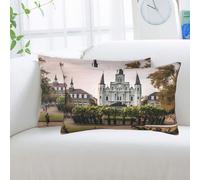 DDTKLSNV Jackson Lot de 2 housses de coussin carrées confortables et ultra douces avec fermeture éclair dissimulée pour grand lit, 35,6 x 50,8 cm, pour canapé, chambre à coucher