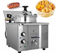 DDZJTPP Friteuse Électrique Commerciale 16 L 3000 W Friteuse à Huile en INOX avec minuterie et Thermostat Variable,Température Réglable 50-200 °C pour Poulet Frit Snack-Bars