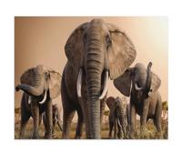 De 1000 Pièces pour Adultes，Magnifique scène d’Un Troupeau majestueux d’éléphants africains，Jouets De Décompression Éducatifs Et Intellectuels, Jeux Familiaux Amusants pour Enfants（75x50cm）-Y5