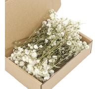 De 50 Bouquets de gypsophiles séchées tiges Florales éternelles pour Les Arrangements de vases décoration centres de Table Fournitures d ' Arrangement Floral