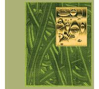 De Beren Gieren - Less is Endless [Import]