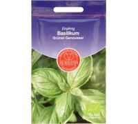 De Bolster Basilic "Genovese" - 1 g