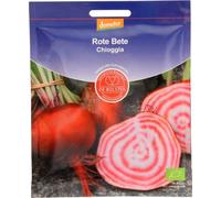 De Bolster Betterave "Chioggia" - 8 g