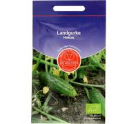 De Bolster Cornichon "Hokus" Bio - 2 g