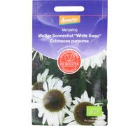 De Bolster Échinacée Blanche "White Swan" - 1 g