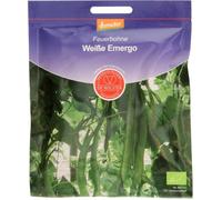 De Bolster Haricot d'Espagne "Weiße Emergo" - 75 g