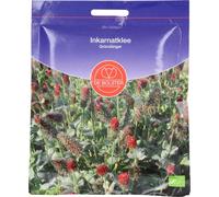 De Bolster Trèfle Incarnat - 75 g