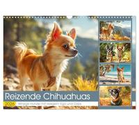 De charmants chihuahuas. Des chiens minuscules à l'ego et à l'intelligence énormes, Version française (Calendrier mural 2026 DIN A3 portrait), Calendrier CALVENDO mensuel