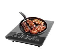de Cuisson à Induction, Portable Double Tension 110V-220V, Appareil de Cuisson Plan de Travail Intérieur Extérieur Maison Bureau Voyage Camping