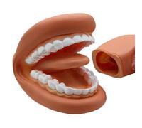 de dents fausse main portable - doux éducatif doux portable bouche