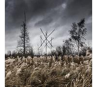 De Doden Hebben Het Goed