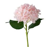 de Faux Hortensia - Lot de 12 Bouquets Blanc Bleu | Têtes de Fleurs d'hortensia Artificiel, Tissu Lavable Qui ne se décolore Pas | Anniversaire de fiançailles Mariage | Centre de Table, Vase,