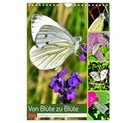 De fleur en fleur - les vers blancs en tournée estivale, Version française (Calendrier mural 2026 DIN A4 portrait), Calendrier CALVENDO mensuel