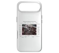 De Havilland Vampire FB MK.2 British Jet Fighter Old Cockpit Coque pour iPhone Air